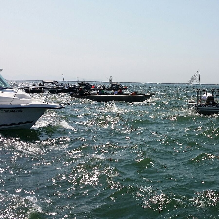 Competitive Area for Salmon Fishing | Buoy 10 Fishing Guide