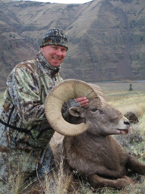 Best Bighorn Sheep Hunting Guides | Oregon Hunting | WVO