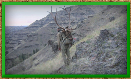 Best Oregon Hunting Guides | Bighorn Sheep Hunting | WVO
