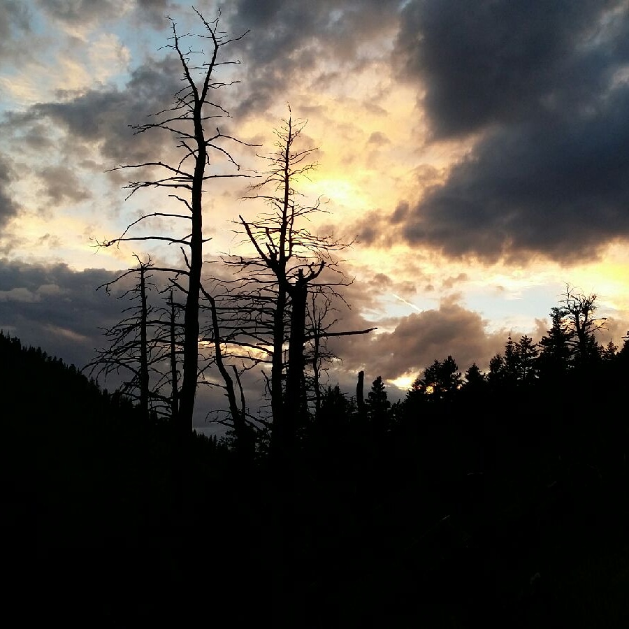 Top Oregon Outfitters | Fully Outfitted Trips | WVO