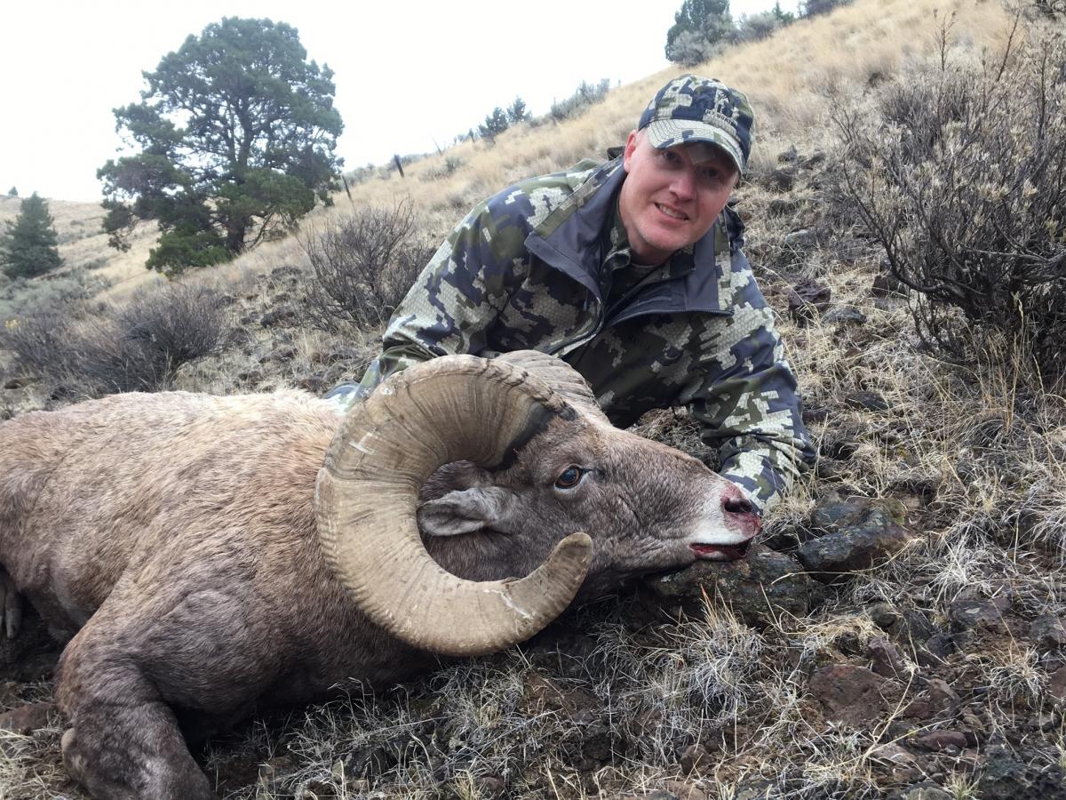Best Oregon Hunting Guides | Elk Hunting | Bighorn Sheep | WVO