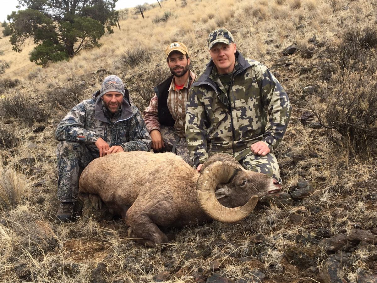 Big Game Hunting Oregon Guides | Elk & Bighorn Sheep | WVO