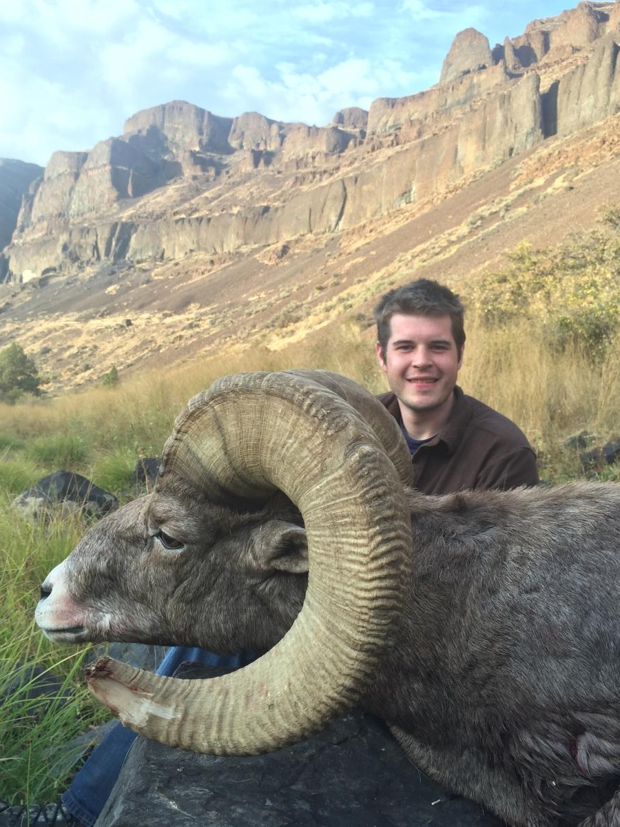 The Best Bighorn Sheep Hunting in Oregon | WVO