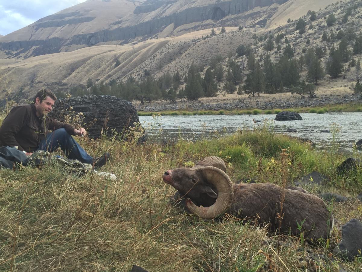 Successful Oregon Hunting Trip | Bighorn Sheep | WVO